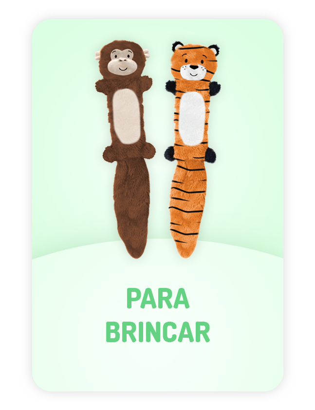 PNG_Site_Fotos-Oficiais_Produtos_Vertical_04.07.2023Pet_Para-Brincar.png