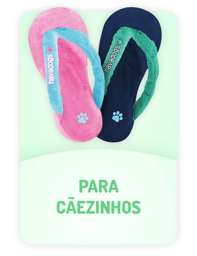 PNG_Site_Fotos-Oficiais_Produtos_Vertical_04.07.2023Pet_Para-Caezinhos.png